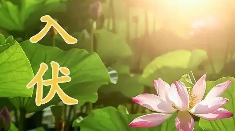 入伏天來襲！金環(huán)電器提醒大家要注意的事項