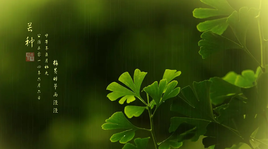 芒種時(shí)節(jié)！金環(huán)電器提醒大家的注意事項(xiàng)