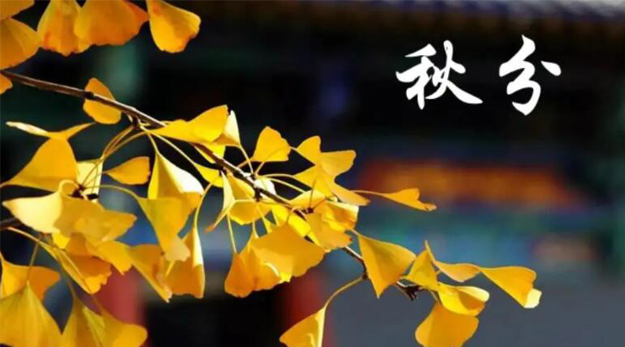 秋分時(shí)節(jié)！金環(huán)電器提醒大家要注意的事項(xiàng)